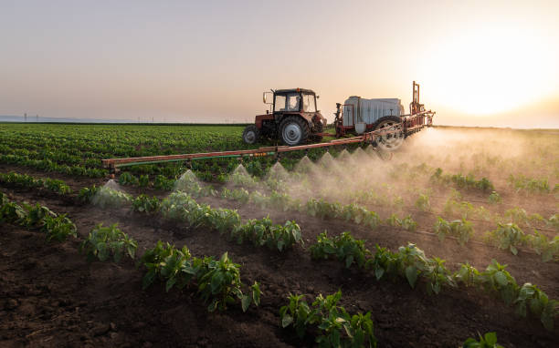 Best Commercial Pest Control Services  in Town Line, NY