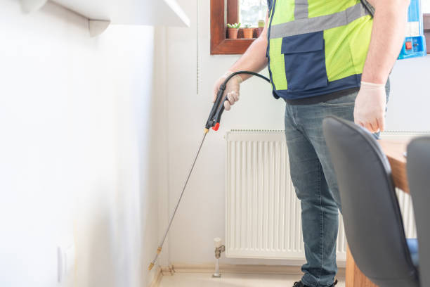 Best Pest Control Near Me  in Town Line, NY